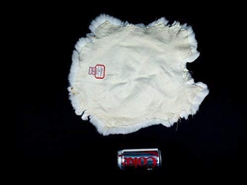Истински заек Рекс №1 бяло: кожа, размер на А (AR-142-11A) 11 бр. /компл.