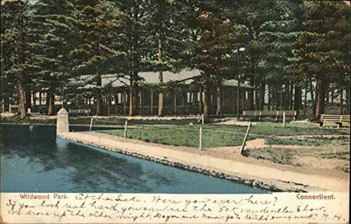 Уилдвуд-Парк Киллингли, Кънектикът, Кънектикът Оригиналната Антични Картичка 1906 г.